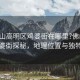 “佛山高明区鸡婆街在哪里?佛山高明区鸡婆街探秘，地理位置与独特风情